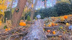 20241201_210804.jpg