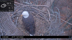 2024-12-01 22_24_10-Port Tobacco Eagle Cam - YouTube – Maxthon.png