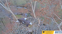 2024-12-01 22_30_13-Bluff City Cam 1_ ETSU_BTES Eagle Camera - YouTube – Maxthon.png