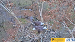 2024-12-01 22_30_23-Bluff City Cam 1_ ETSU_BTES Eagle Camera - YouTube – Maxthon.png