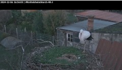 bandicam 2024-12-06 16-56-38-433.jpg