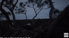 2024-12-06 20_58_48-NEFL Cam 4 - YouTube – Maxthon.png