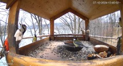 20241207_224400.jpg