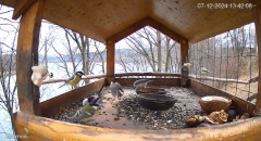 20241207_224843.jpg
