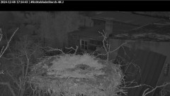 bandicam 2024-12-08 17-15-11-697.jpg