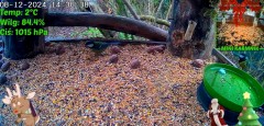 20241208_204845.jpg