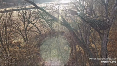 2024-12-08 21_45_07-Decorah Eagles - North Nest - 4k powered by EXPLORE.org - YouTube – Maxthon.png