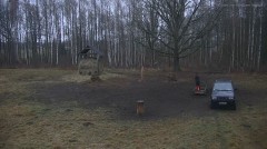 20241210_155934.jpg