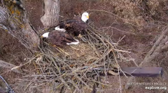 2024-12-10 22_15_47-(1) Decorah Eagles - North Nest - 4k powered by EXPLORE.org - YouTube – Maxthon.png