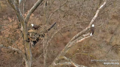 2024-12-10 22_16_06-(1) Decorah Eagles - North Nest - 4k powered by EXPLORE.org - YouTube – Maxthon.png