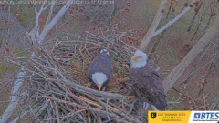 2024-12-11 23_01_56-Bluff City Cam2_ ETSU_BTES Eagle Camera - YouTube – Maxthon.png