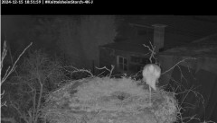 bandicam 2024-12-15 18-52-25-957.jpg
