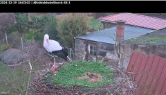 bandicam 2024-12-19 16-03-30-675.jpg