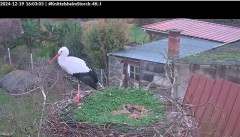 bandicam 2024-12-19 16-03-31-717.jpg