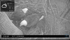 2024-12-30 22_31_50-Port Tobacco Eagle Cam - YouTube – Maxthon.png