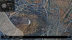 2025-01-01 22_08_14-Port Tobacco Eagle Cam - YouTube – Maxthon.png