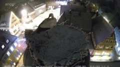 bandicam 2025-01-02 17-31-43-456.jpg