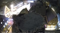bandicam 2025-01-02 17-31-26-602.jpg