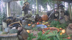 2025-01-02 20_36_34-Mandragora Park – karmnik na żywo - YouTube – Maxthon.png