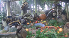 2025-01-02 20_36_49-Mandragora Park – karmnik na żywo - YouTube – Maxthon.png