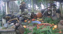 2025-01-02 20_36_52-Mandragora Park – karmnik na żywo - YouTube – Maxthon.png