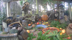 2025-01-02 20_37_00-Mandragora Park – karmnik na żywo - YouTube – Maxthon.png