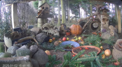 2025-01-02 20_37_55-Mandragora Park – karmnik na żywo - YouTube – Maxthon.png
