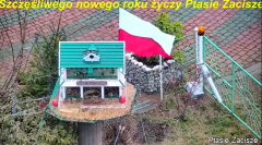 2025-01-02 20_42_09-Karmnik dla ptaków na żywo - _Bar u Elemelka_ - YouTube – Maxthon.png
