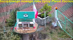 2025-01-02 20_42_25-Karmnik dla ptaków na żywo - _Bar u Elemelka_ - YouTube – Maxthon.png