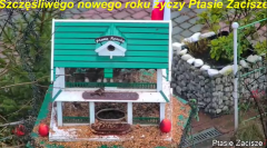 2025-01-02 20_42_42-Karmnik dla ptaków na żywo - _Bar u Elemelka_ - YouTube – Maxthon.png