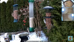 2025-01-02 22_40_50-Bird feeder_nest box LIVE. Keila-Joa, Estonia - YouTube – Maxthon.png