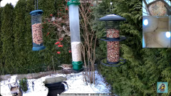 2025-01-02 22_41_15-Bird feeder_nest box LIVE. Keila-Joa, Estonia - YouTube – Maxthon.png