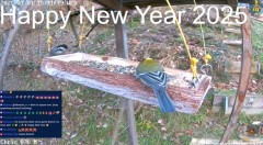 20250102_225108.jpg