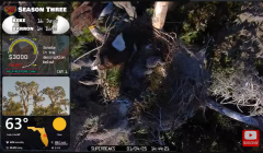 2025-01-04 22_59_57-Southwest Central Florida Eagle Cam - YouTube – Maxthon.png