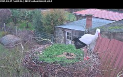 bandicam 2025-01-05 16-01-37-348.jpg