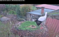 bandicam 2025-01-05 16-01-58-099.jpg