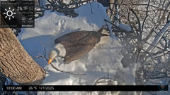 2025-01-07 20_17_20-Port Tobacco Eagle Cam - YouTube - Maxthon.png
