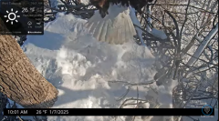 2025-01-07 20_19_39-Port Tobacco Eagle Cam - YouTube - Maxthon.png