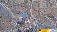 2025-01-07 20_24_17-Bluff City Cam 1_ ETSU_BTES Eagle Camera - YouTube - Maxthon.png
