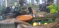 2025-01-10 22_10_17-Mandragora Park – karmnik na żywo - YouTube - Maxthon.png