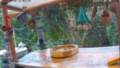 2025-01-10 22_40_54-Le jardin avec les mangeoires - Maxthon.png