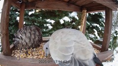 20250111_213656.jpg