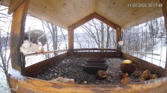 20250111_215437.jpg