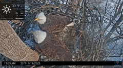 2025-01-11 23_37_16-Port Tobacco Eagle Cam - YouTube - Maxthon.png