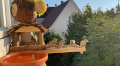 2025-01-13 21_50_35-Live 4K Vögel beobachten. - YouTube - Maxthon.png