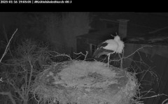 bandicam 2025-01-16 19-05-36-692.jpg