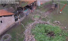 bandicam 2025-01-17 15-29-21-517.jpg