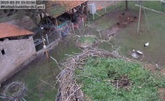 bandicam 2025-01-20 15-33-27-737.jpg