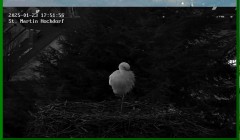 bandicam 2025-01-23 17-52-31-744.jpg