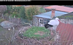 bandicam 2025-01-24 16-23-16-926.jpg